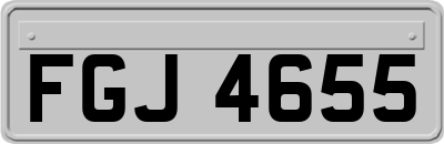 FGJ4655