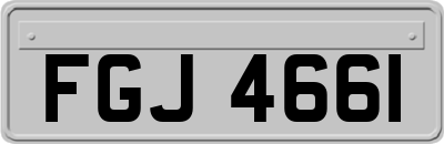 FGJ4661