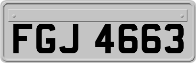 FGJ4663