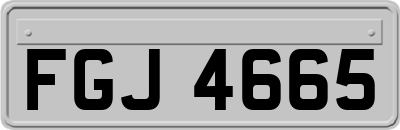 FGJ4665