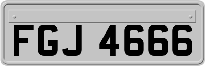 FGJ4666
