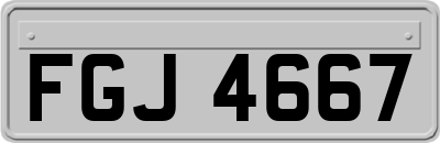 FGJ4667