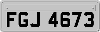 FGJ4673