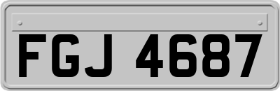 FGJ4687