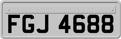 FGJ4688