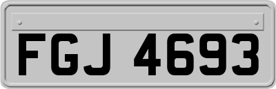FGJ4693