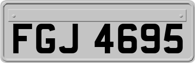FGJ4695