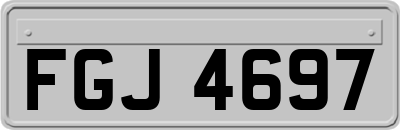 FGJ4697