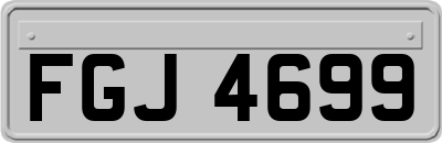 FGJ4699