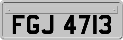 FGJ4713