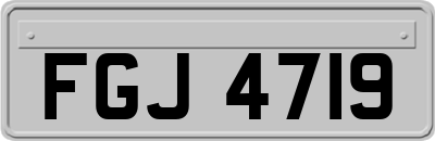 FGJ4719