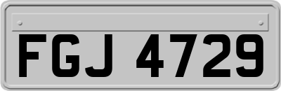 FGJ4729