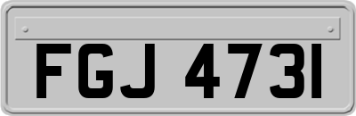 FGJ4731