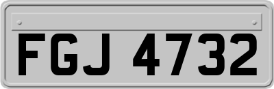 FGJ4732