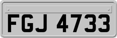 FGJ4733