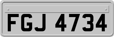 FGJ4734