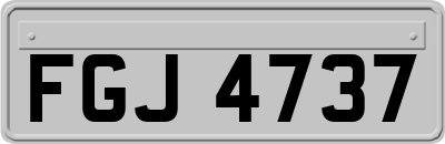 FGJ4737