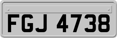 FGJ4738