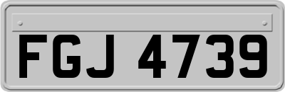 FGJ4739