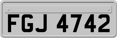 FGJ4742