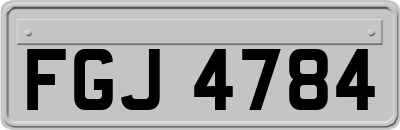 FGJ4784