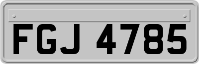 FGJ4785