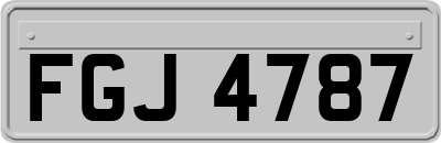FGJ4787