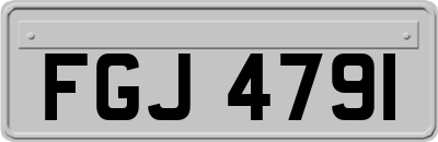 FGJ4791