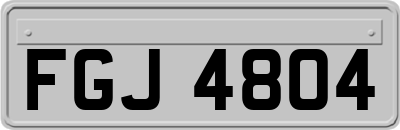 FGJ4804