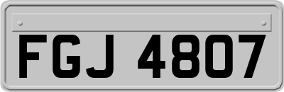 FGJ4807