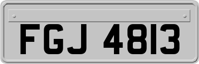 FGJ4813