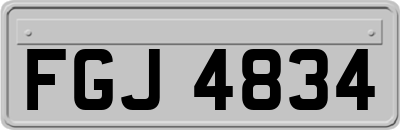 FGJ4834