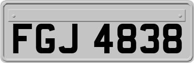 FGJ4838