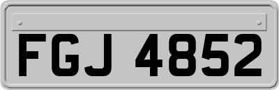 FGJ4852
