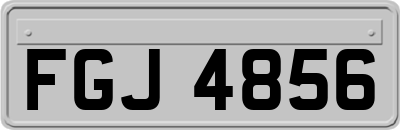 FGJ4856