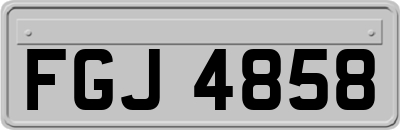 FGJ4858