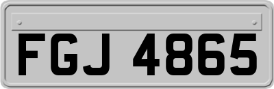 FGJ4865