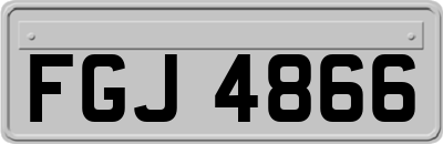 FGJ4866