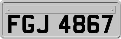 FGJ4867