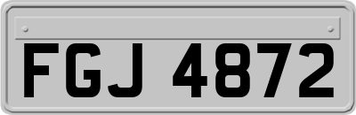 FGJ4872