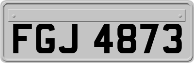 FGJ4873