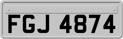 FGJ4874