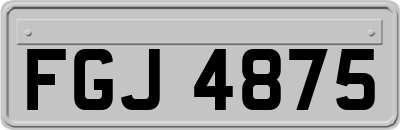FGJ4875