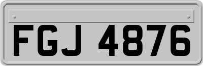 FGJ4876