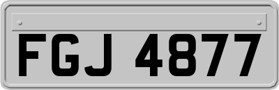 FGJ4877