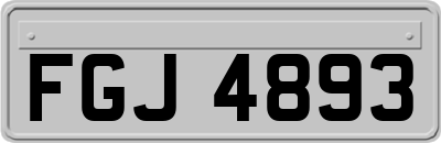 FGJ4893