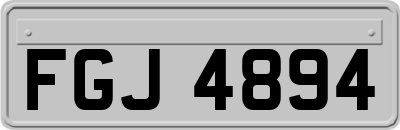 FGJ4894