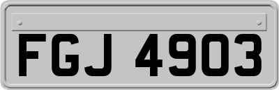 FGJ4903