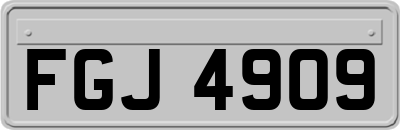 FGJ4909
