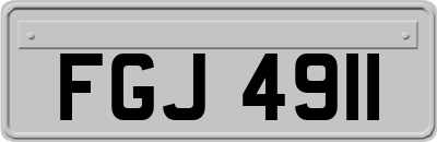 FGJ4911